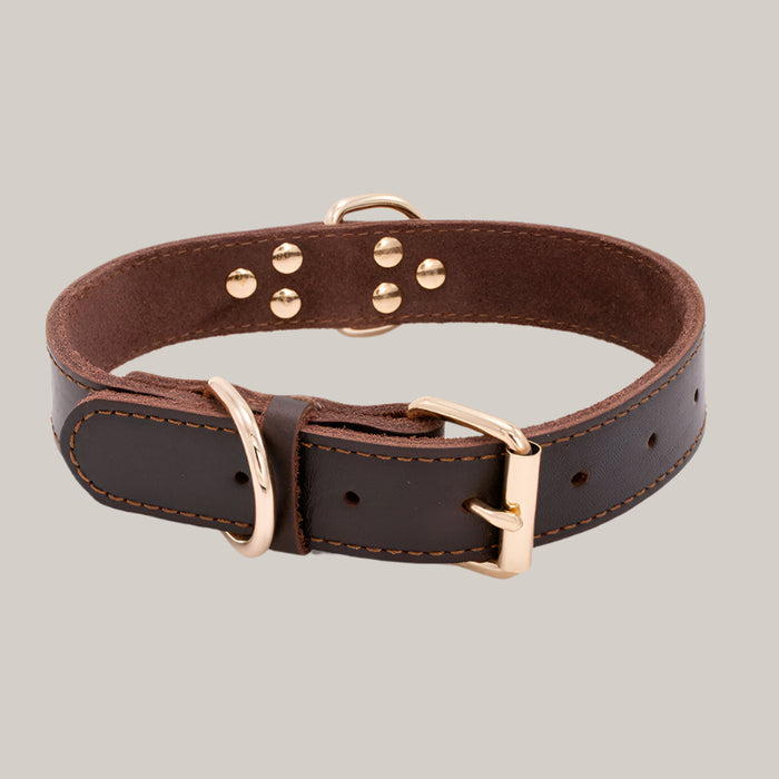 Dog collar Brown
