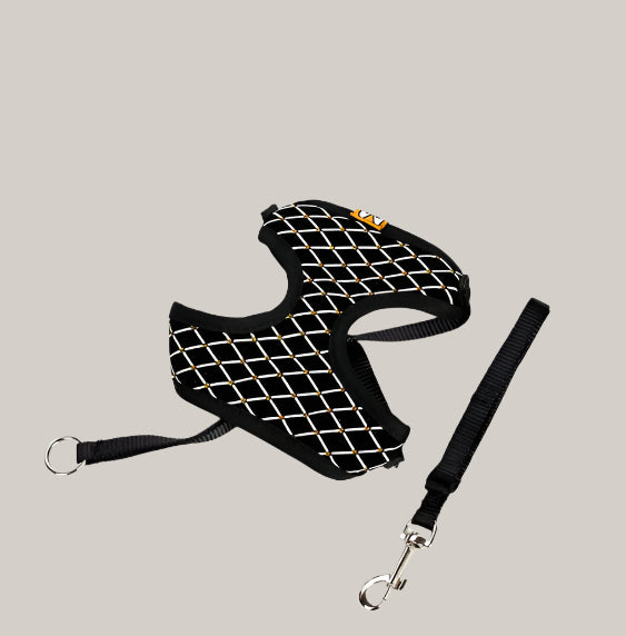 Dog leash cat leash Black