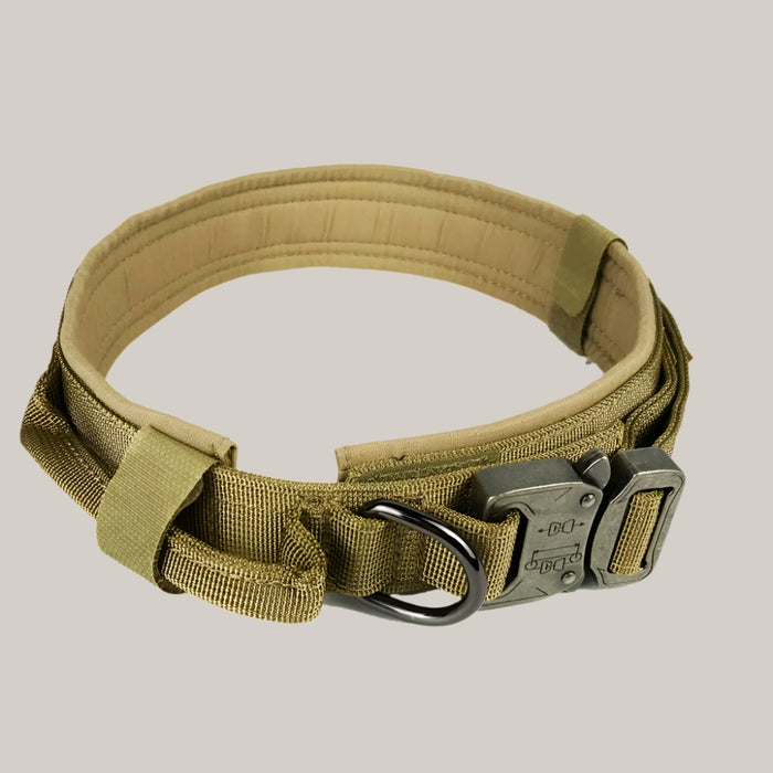 Dog collar Yellow