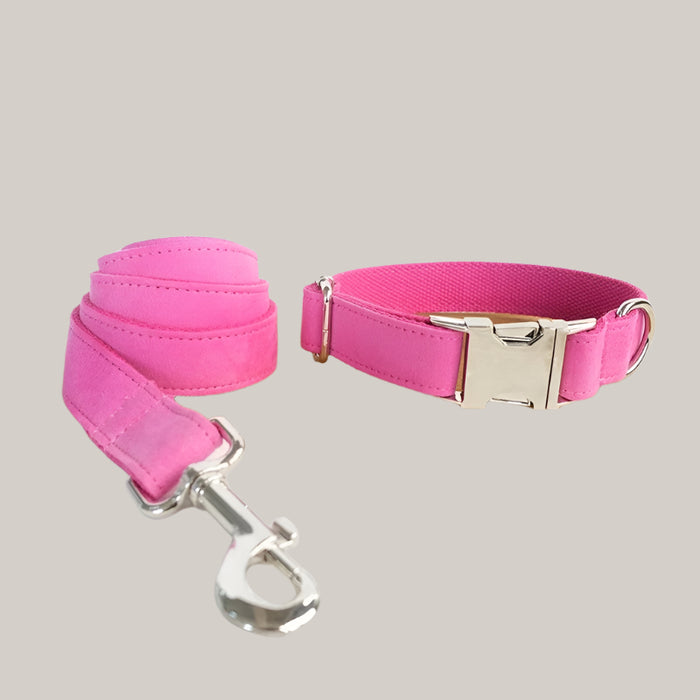Dog collar leash collar