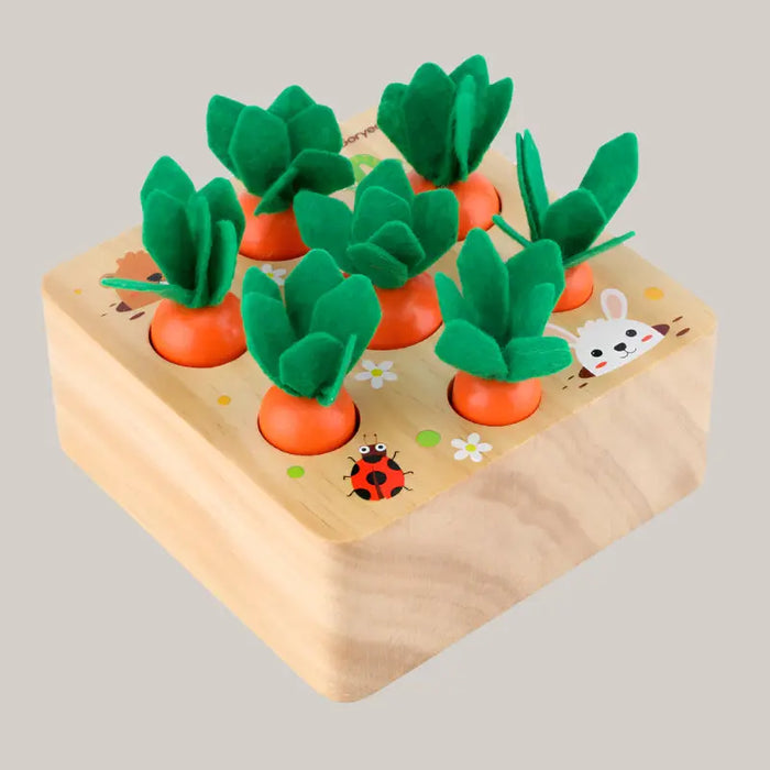 Educational toys Harvest carrots