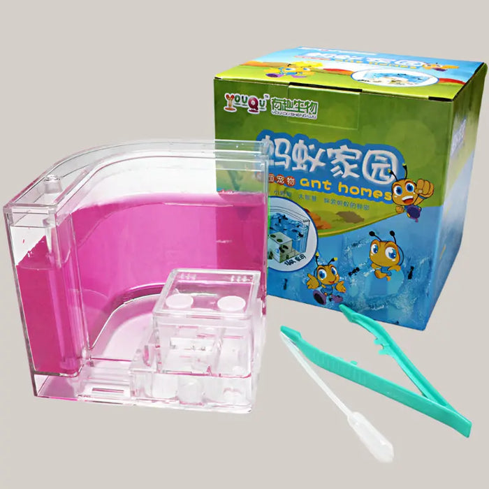 Ant Workshop Toys Pink