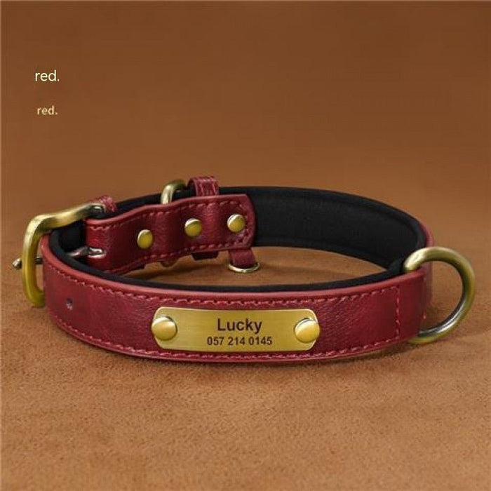 Dog Collar Engraved With Lettering Red