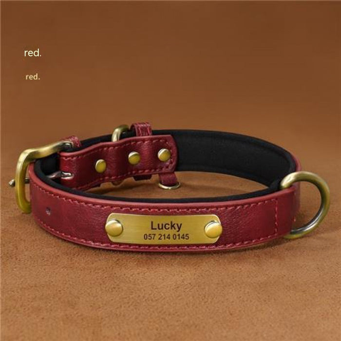 Dog Collar Engraved With Lettering