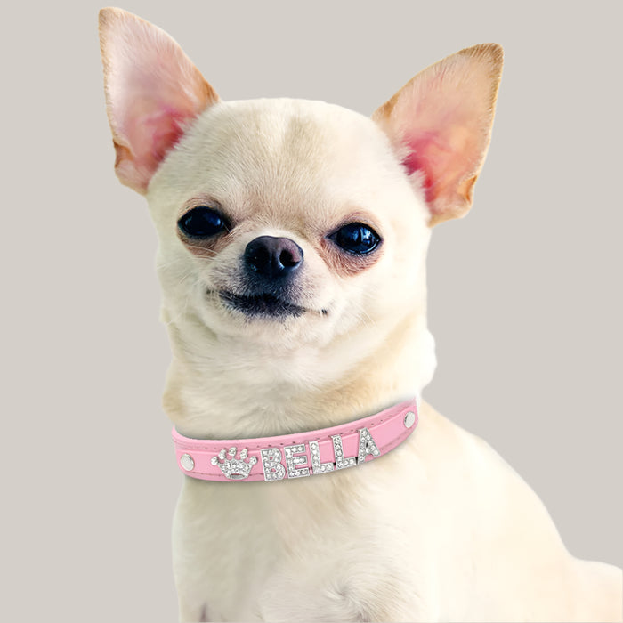 Personalized Cat Collar