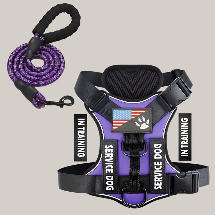 Dog Chest Harness and Leash Set Purple