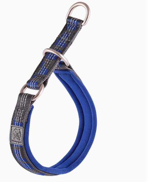 P Chain Dog Walking Collar