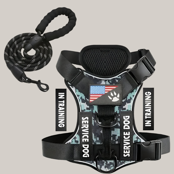 Dog Chest Harness and Leash Set