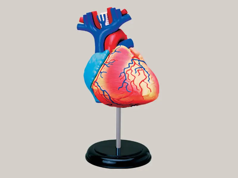 Puzzle assembly toys Heart