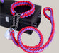 Everyday Dog Collar Red Blue