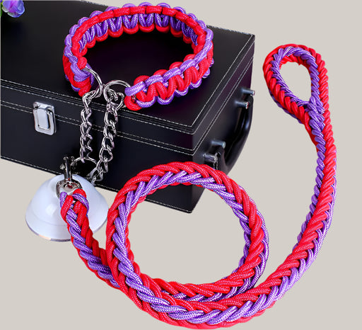 Everyday Dog Collar Red Blue