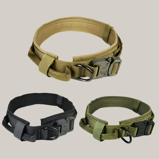 Everyday Dog Collar