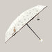 Five-Fold Compact Umbrella with Black Coating – 3 Colors