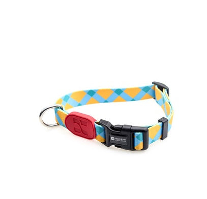 Colorful Adjustable Dog Collar Sunrise