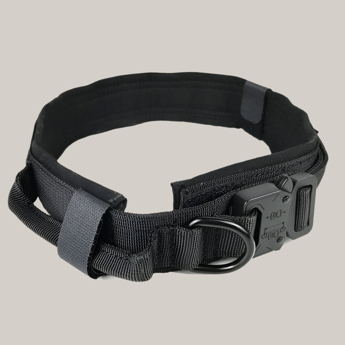 Everyday Dog Collar Black