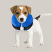 Protective Inflatable Collar for Dogs and Cats Blue