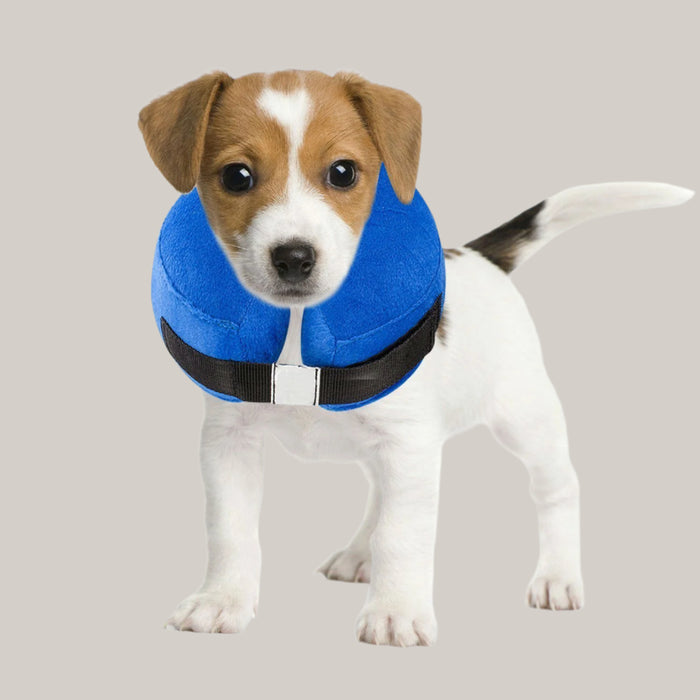 Protective Inflatable Collar for Dogs and Cats Blue