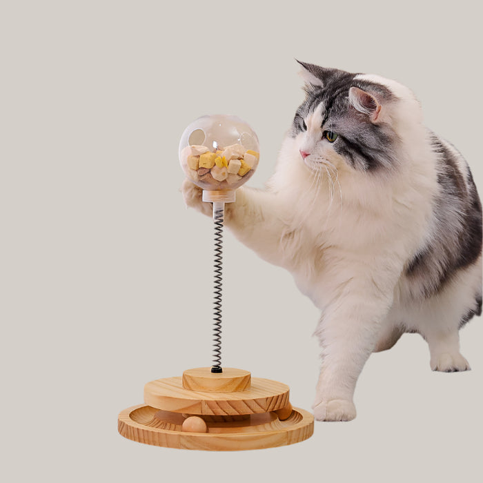 Interactive Cat Treat Dispenser