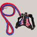 Dog Harness and Leash Set Red blue
