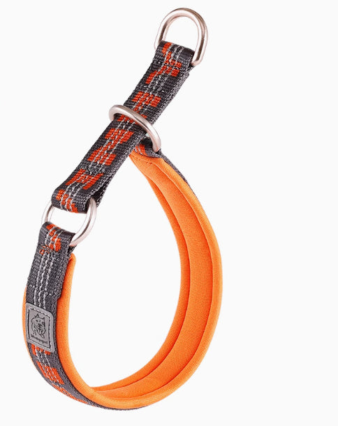 P Chain Dog Walking Collar