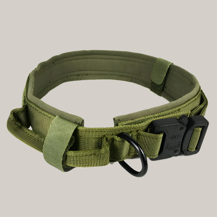 Everyday Dog Collar Army Green