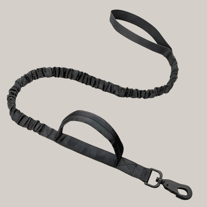 Dog Training Leash Black One size