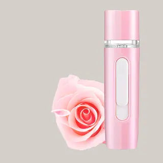 Hand-Held Skin Test Moisturizer Facial Humidifier 6