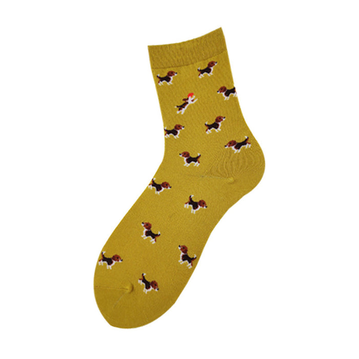 Socks For Men And Women