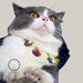 Puppy Collar with Bell
