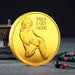 Sexy Coins tail i get heads Gold 40X3