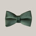 Green Velvet Dog Collar and Leash Set Bowknot
