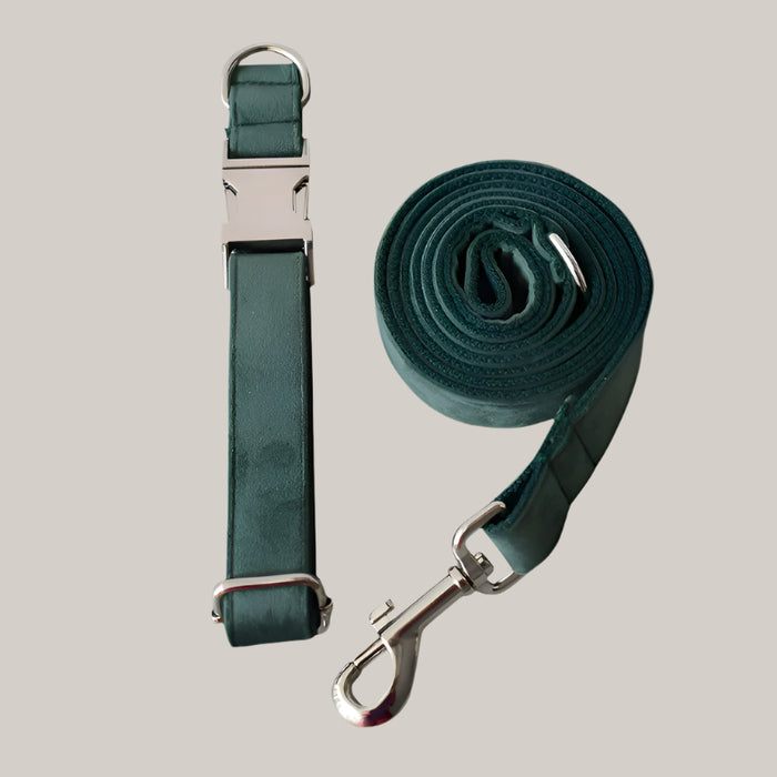 Green Velvet Dog Collar and Leash Set Dog pen and dog leash package
