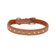 Comfort-Fit Dog Collar Orange