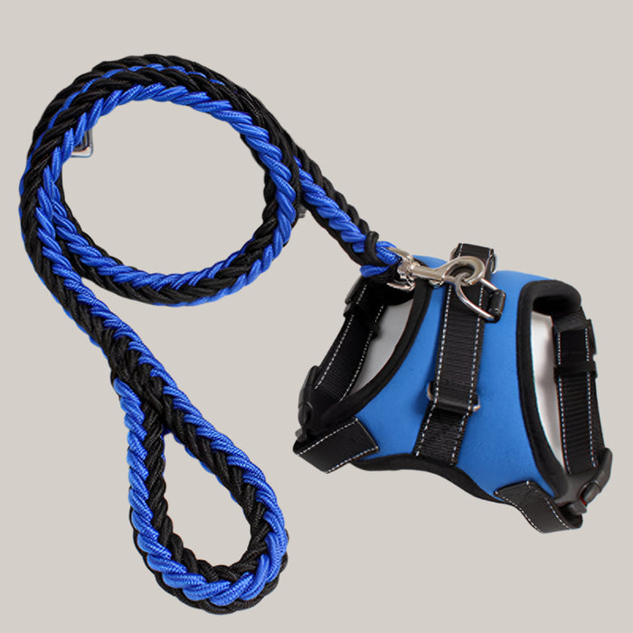 Dog Harness and Leash Set Blue