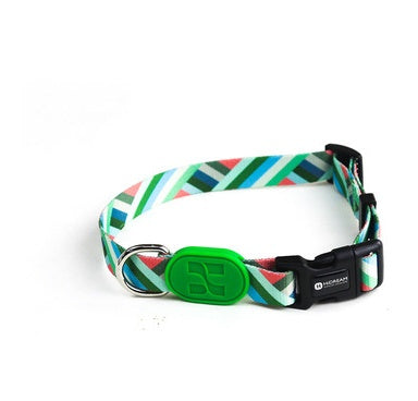 Colorful Adjustable Dog Collar Rainforest