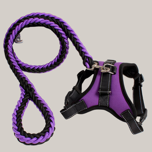 Dog Harness and Leash Set Purple