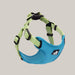 Dog Collar and Walking Leash Set Blue green