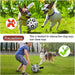 Inflatable Ball-Shaped Dog Toy