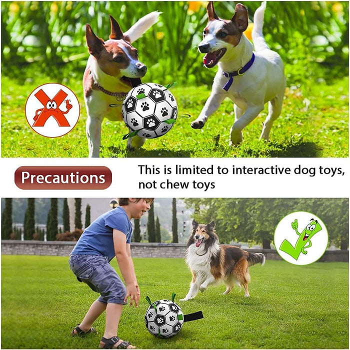 Interactive Dog Football Toy – Inflatable Training Ball for Dogs