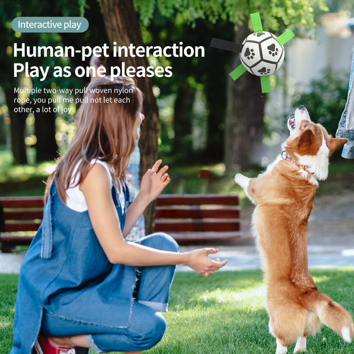 Interactive Dog Football Toy – Inflatable Training Ball for Dogs