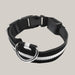 Luminous Dog Collar with ID Tag White
