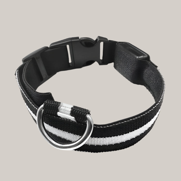 Luminous Dog Collar with ID Tag White