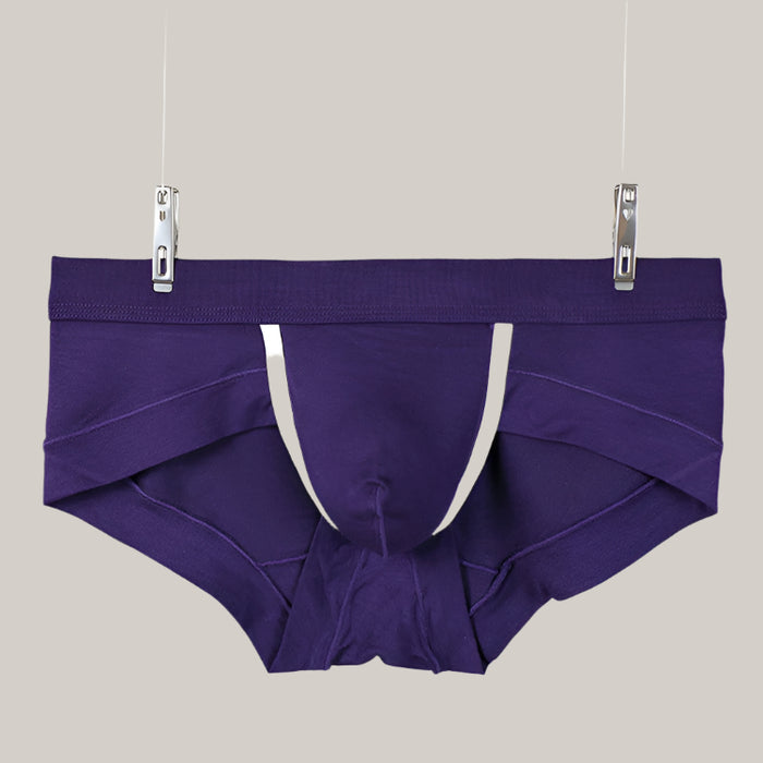 Mens Fashion Underwear Flat Angle Low