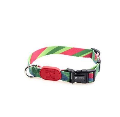 Colorful series of dog collar