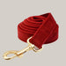 Dog Collar with Leash Attachment Dog Leash