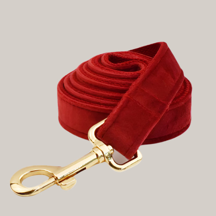 Dog Collar with Leash Attachment Dog Leash