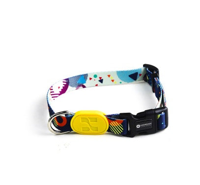 Colorful series of dog collar