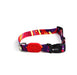 Colorful Adjustable Dog Collar Popcorn