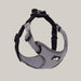 Dog Collar and Walking Leash Set Grey black