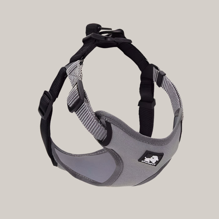 Dog Collar and Walking Leash Set Grey black